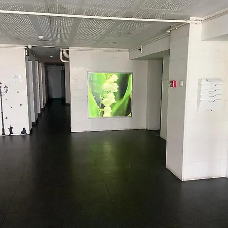 Wood Story - Modern 1br Near Center With Parking