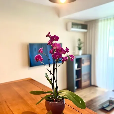 Wood Story - Modern 1br Near Center With Parking Appartamento