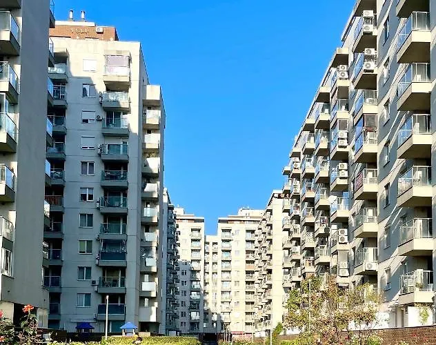 Wood Story - Modern 1br Near Center With Parking * Bükreş