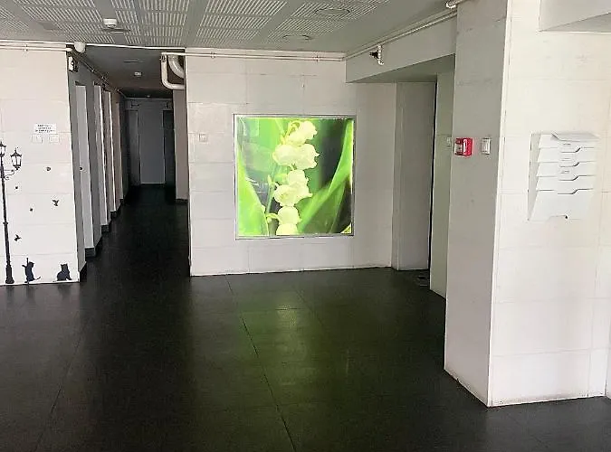 Wood Story - Modern 1br Near Center With Parking