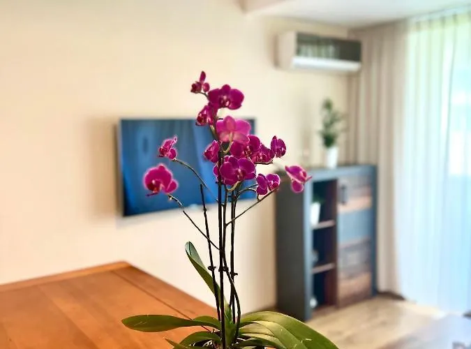 Wood Story - Modern 1br Near Center With Parking Apartament