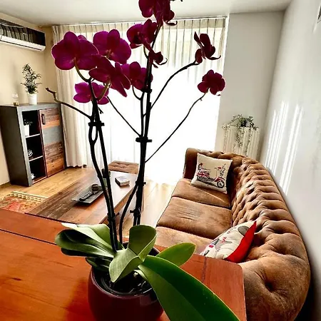 Wood Story - Modern 1br Near Center With Parking *